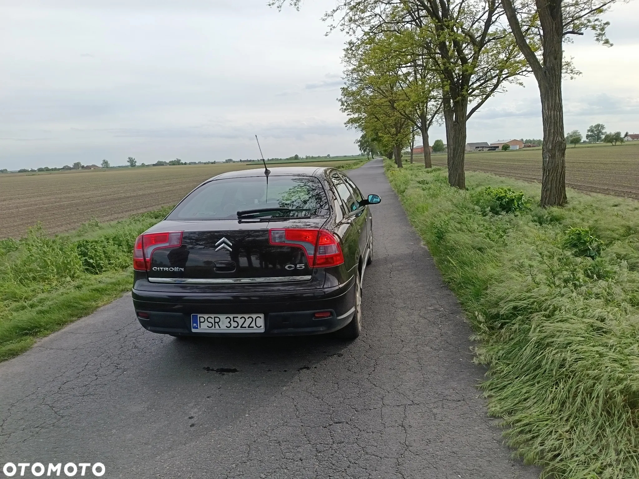 Citroën C5 II 1.8i 16V SX - 5
