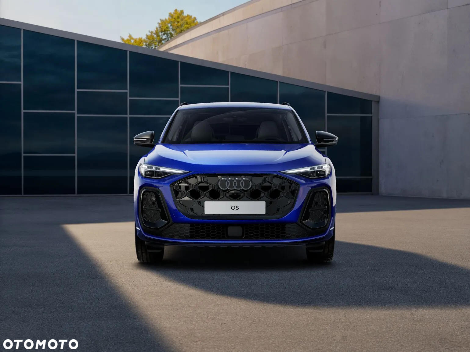 Audi Q5 - 2