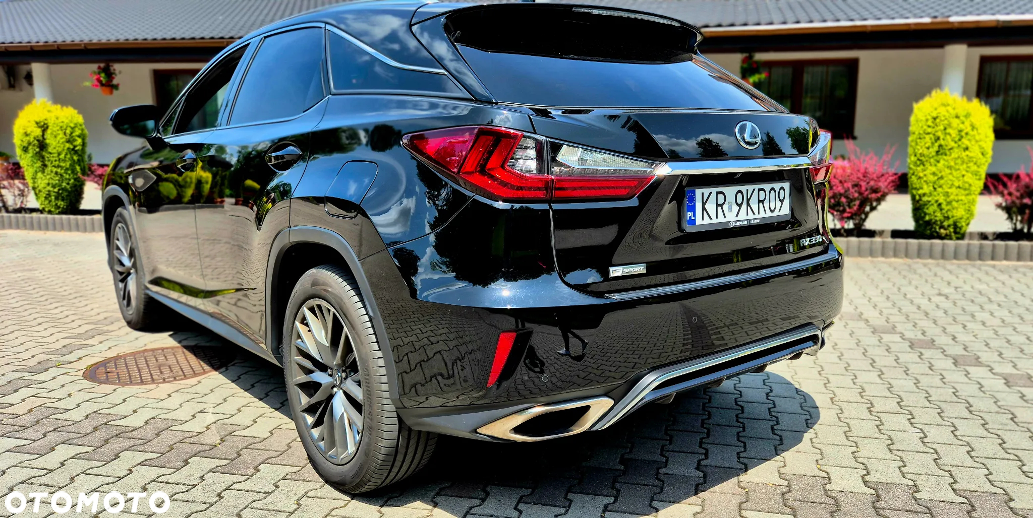 Lexus RX 300 AWD F Sport - 5