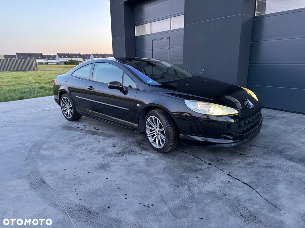 Peugeot 407 165 Sport - 15