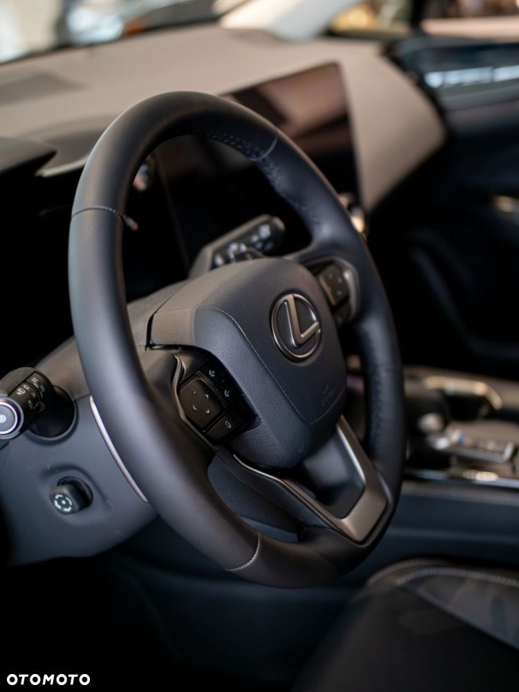Lexus NX - 10
