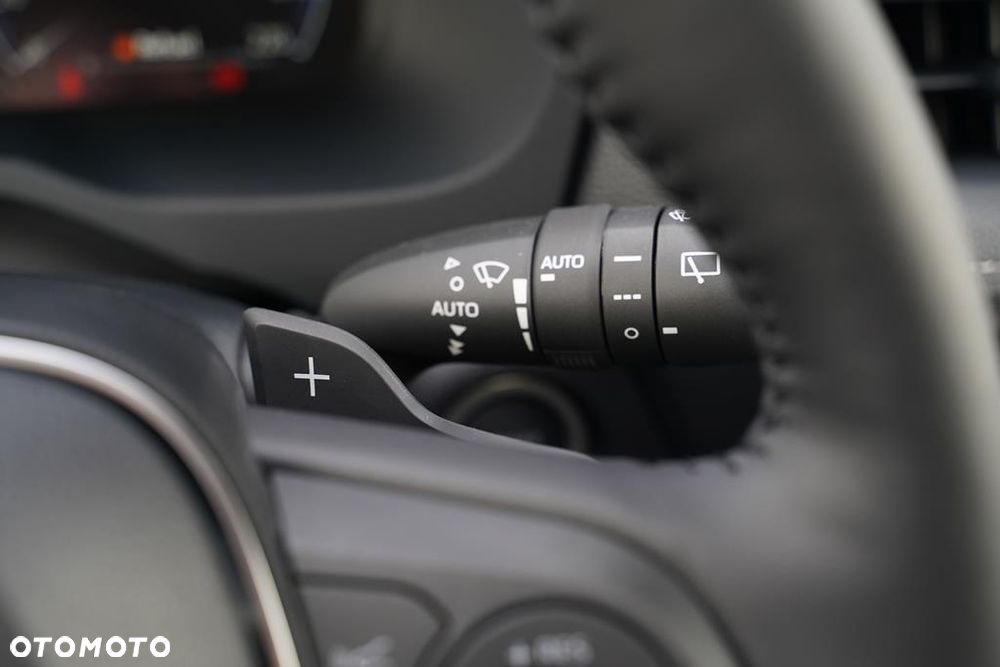 Toyota RAV4 2.5 Hybrid Executive 4x2 - 17
