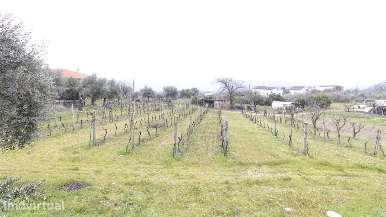 Terreno para Construção - São João de Lourosa - Grande imagem: 2/10
