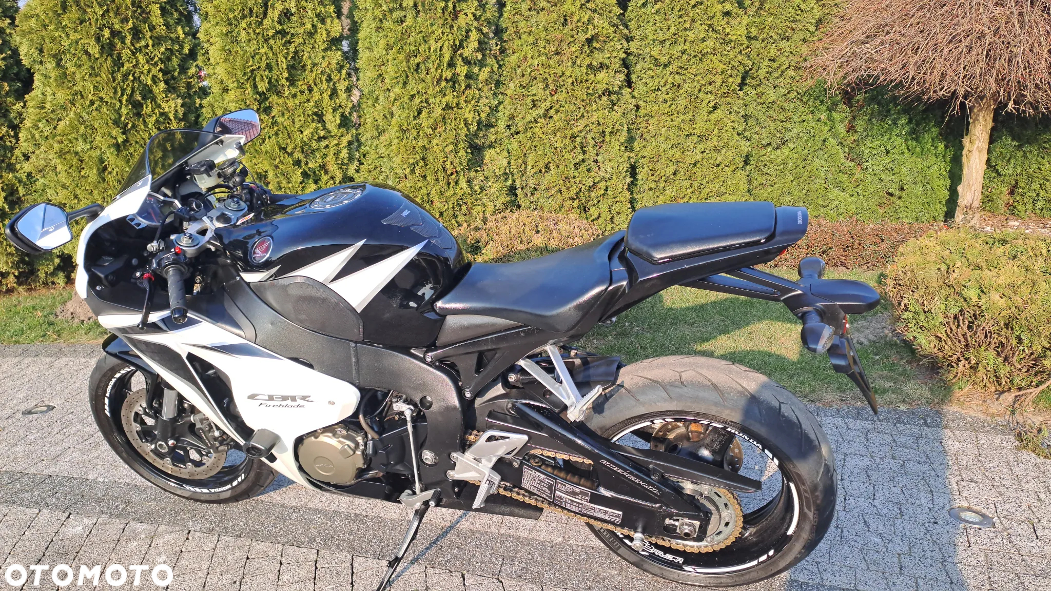 Honda CBR - 6