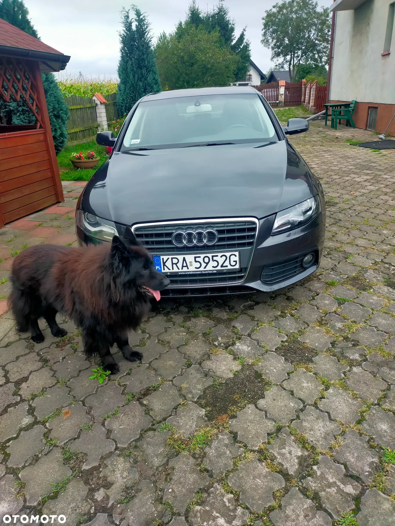Audi A4 - 25