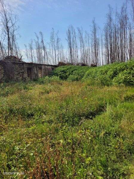 Casa para restauro com terreno - Grande imagem: 2/5