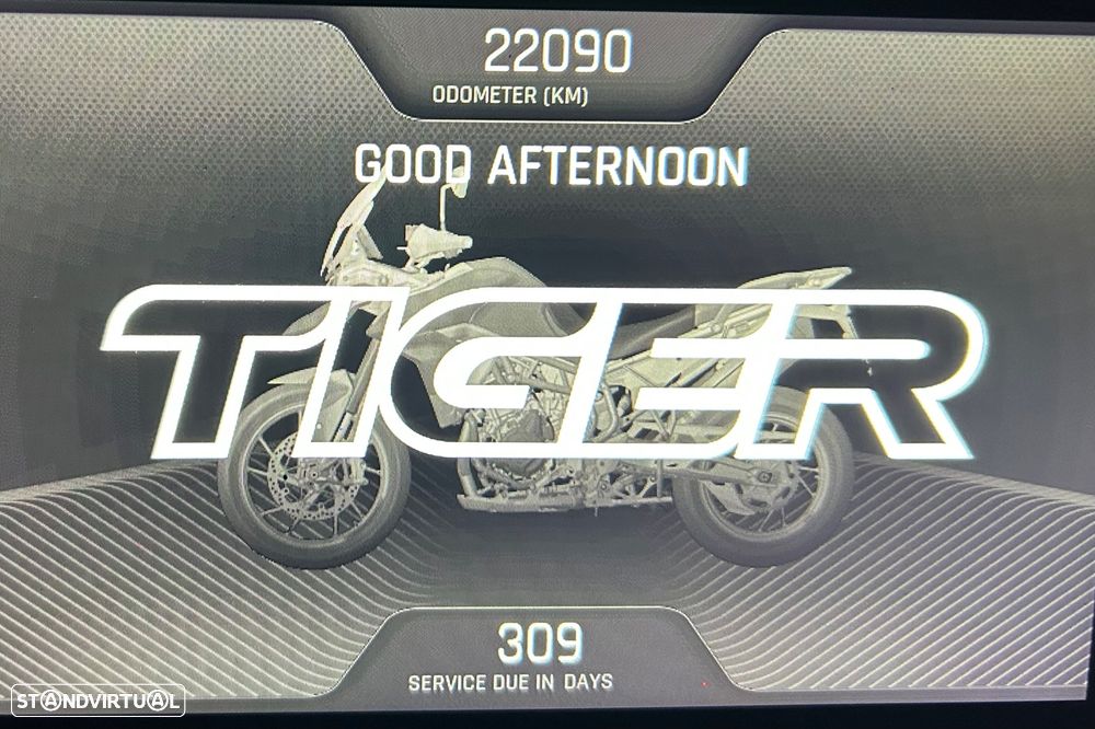 Triumph Tiger Rally Pro - 5