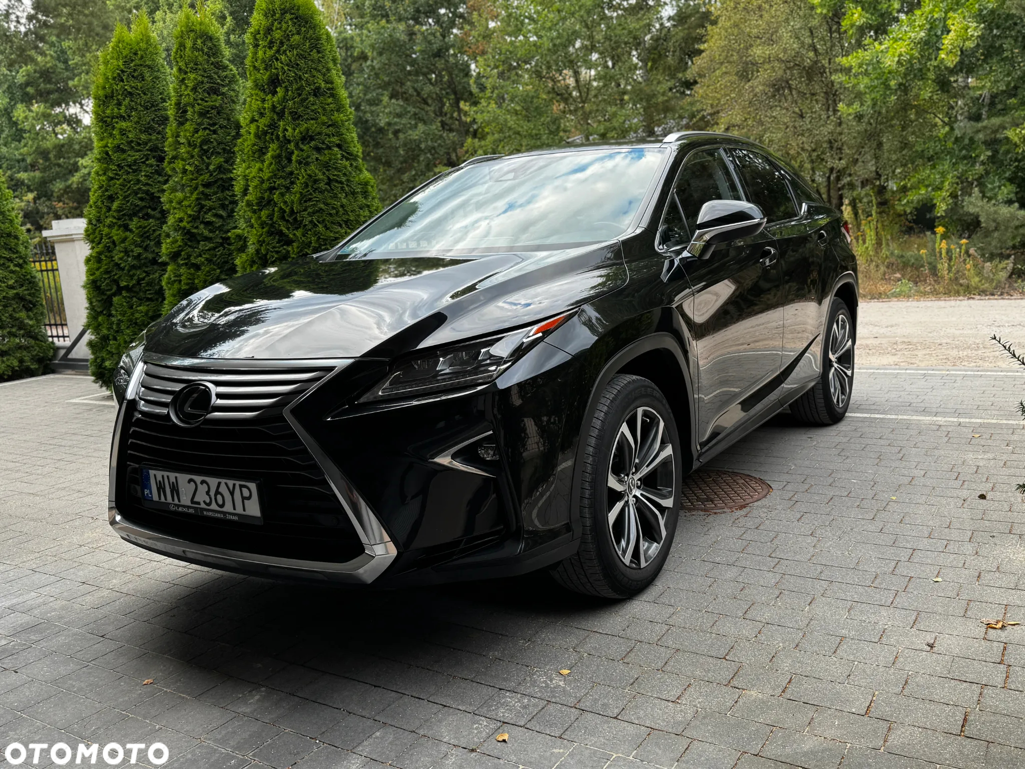 Lexus RX - 2