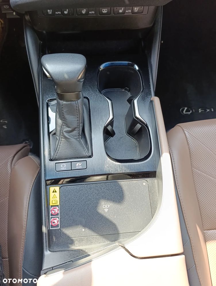 Lexus ES 300h Omotenashi - 15