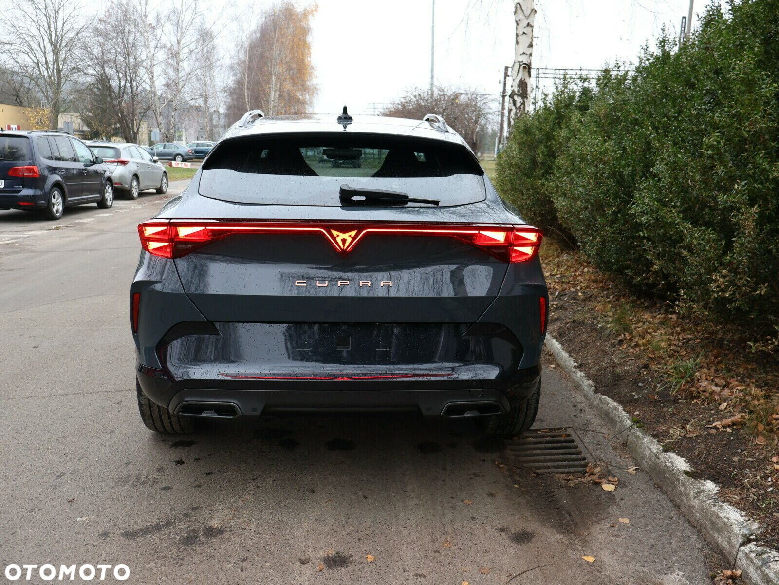 Cupra Formentor - 6