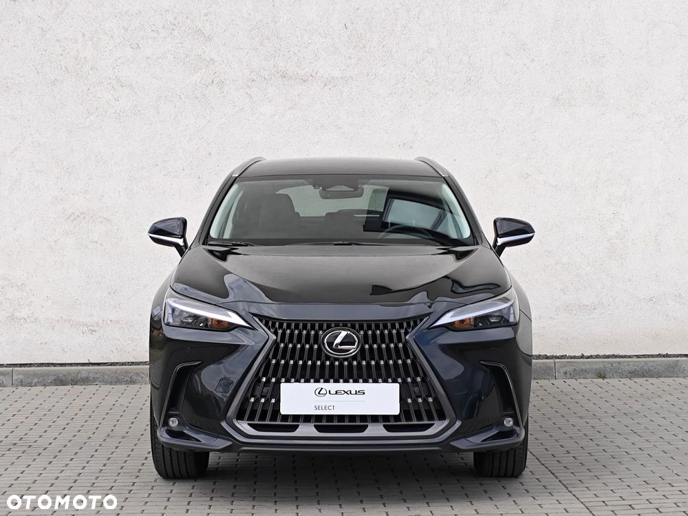 Lexus NX 350h Prestige AWD - 7