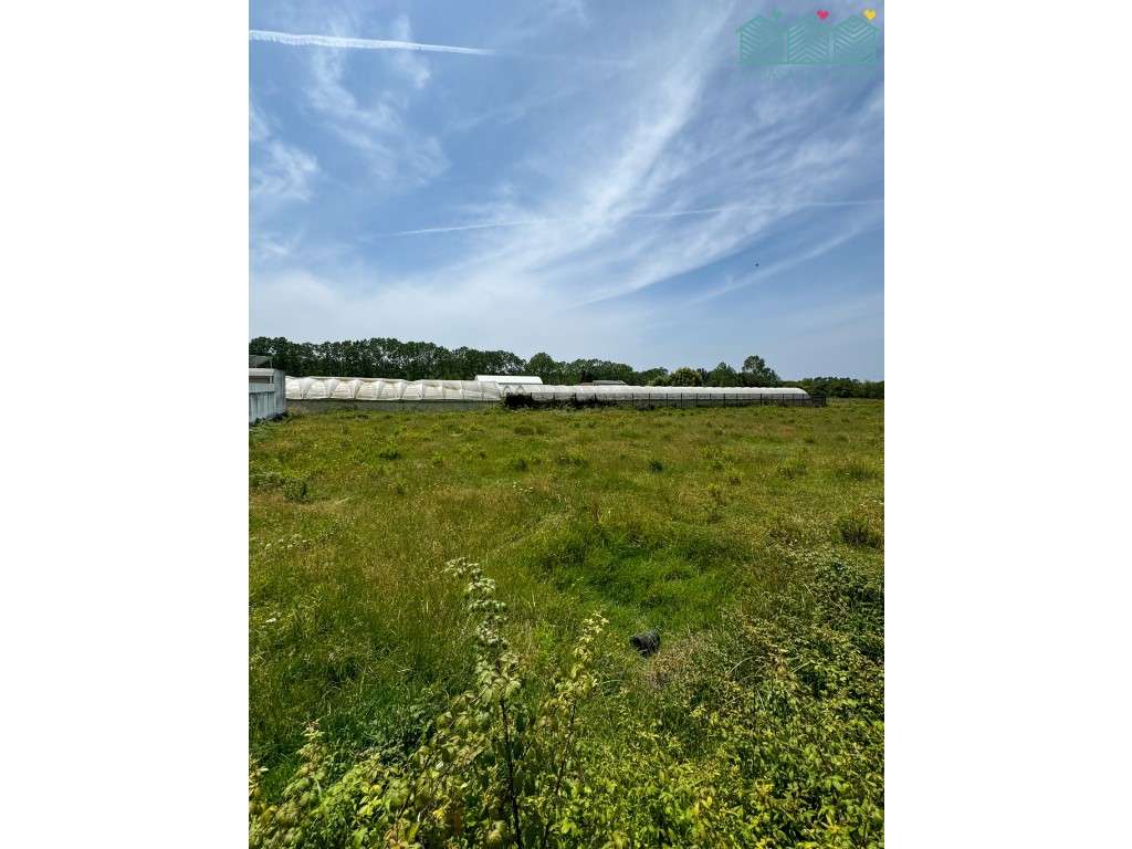 Terreno em Vagos - Grande imagem: 3/3