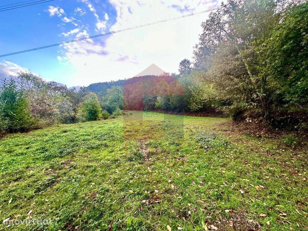Terreno para construção, Moimenta - Grande imagem: 3/14
