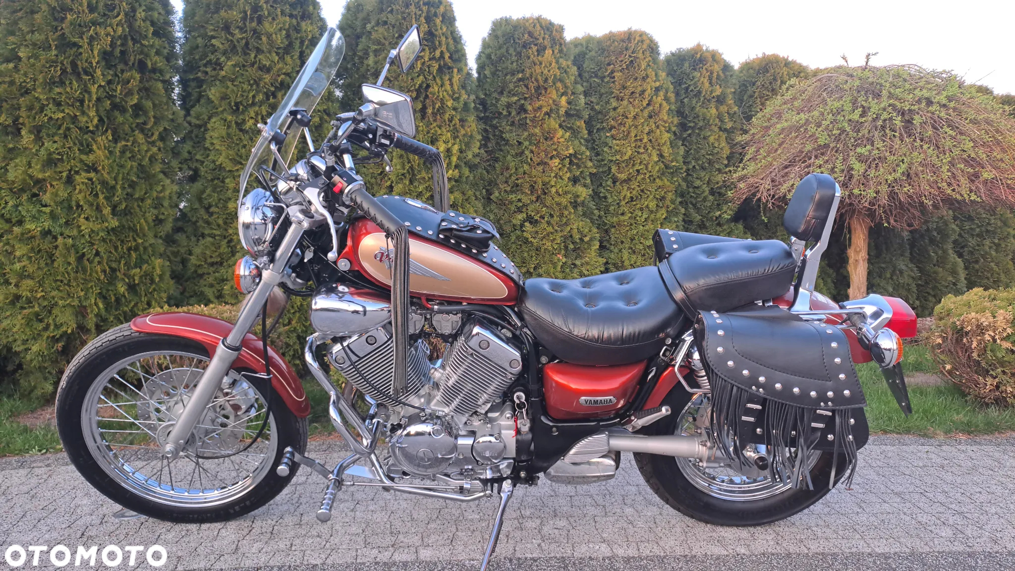 Yamaha Virago - 38