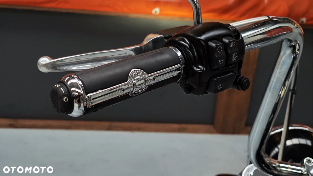 Harley-Davidson Softail Slim - 12