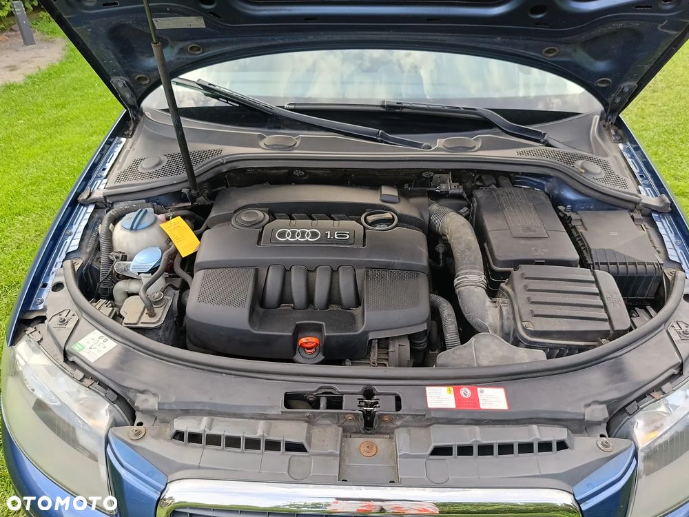 Audi A3 3-drzwiowe 1.6 Ambiente - 30