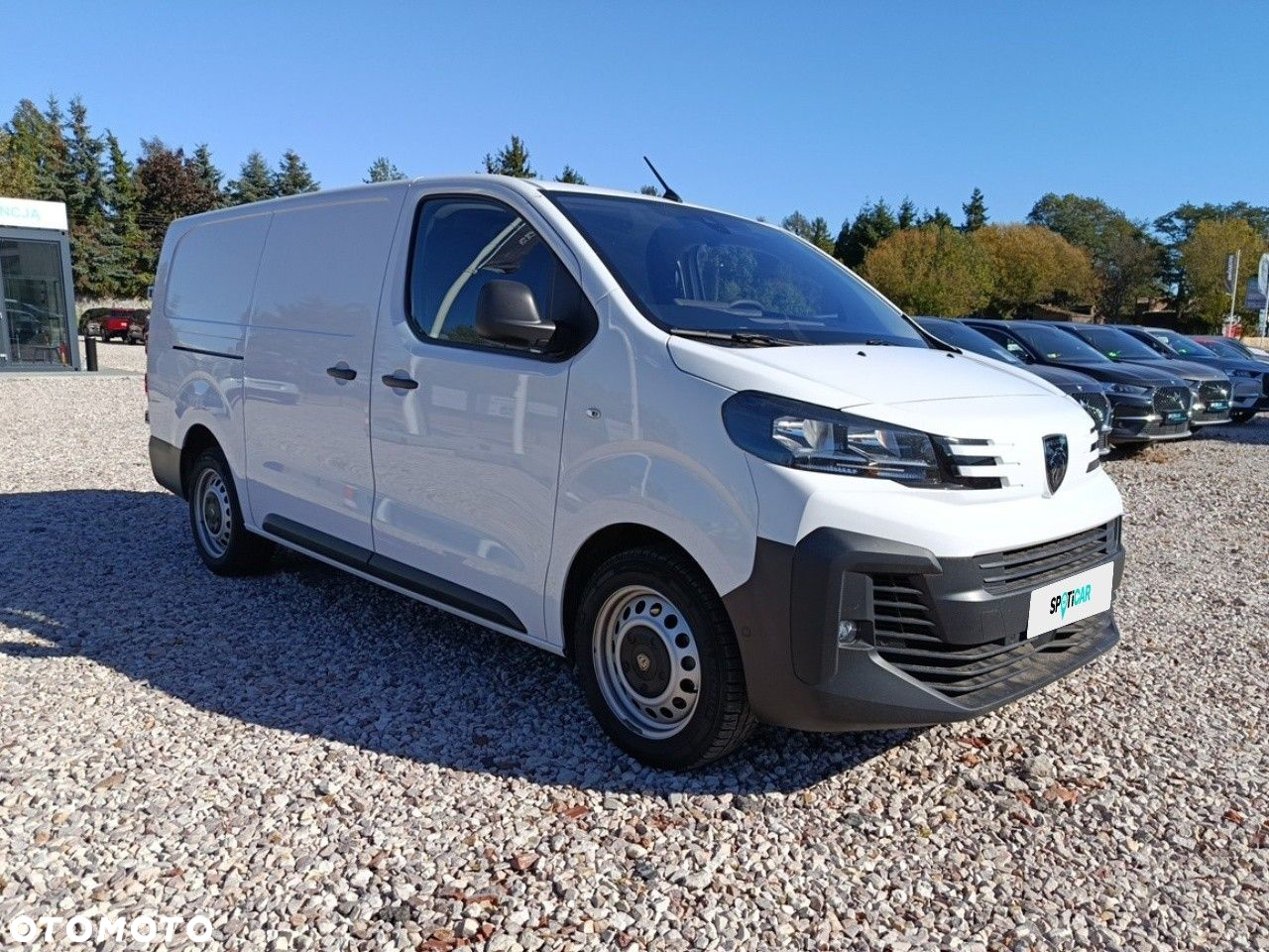 Peugeot Expert - 3