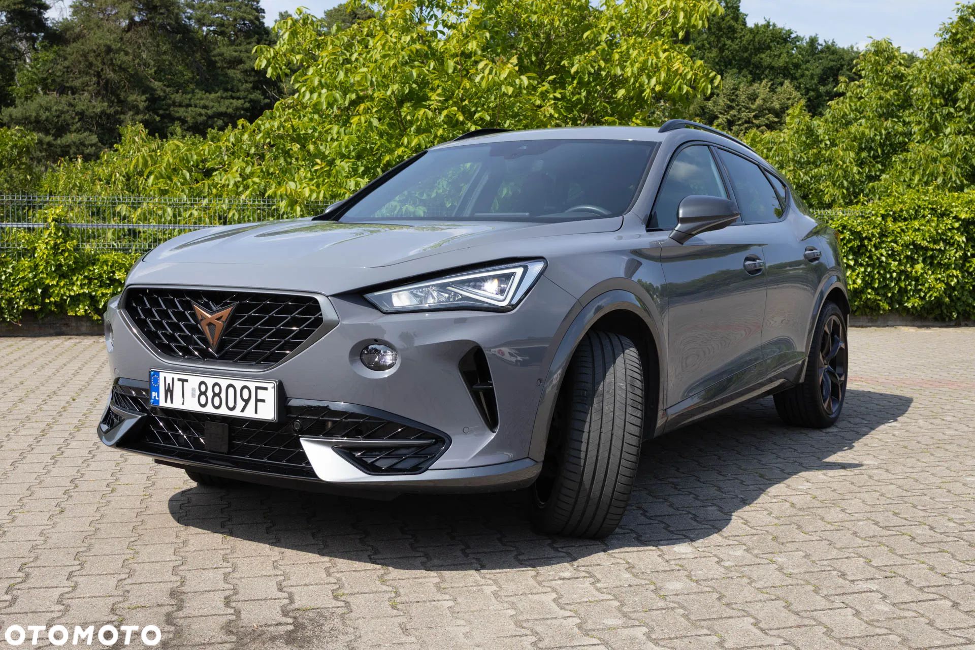 Cupra Formentor 2.0 TSI 4Drive VZ DSG - 1