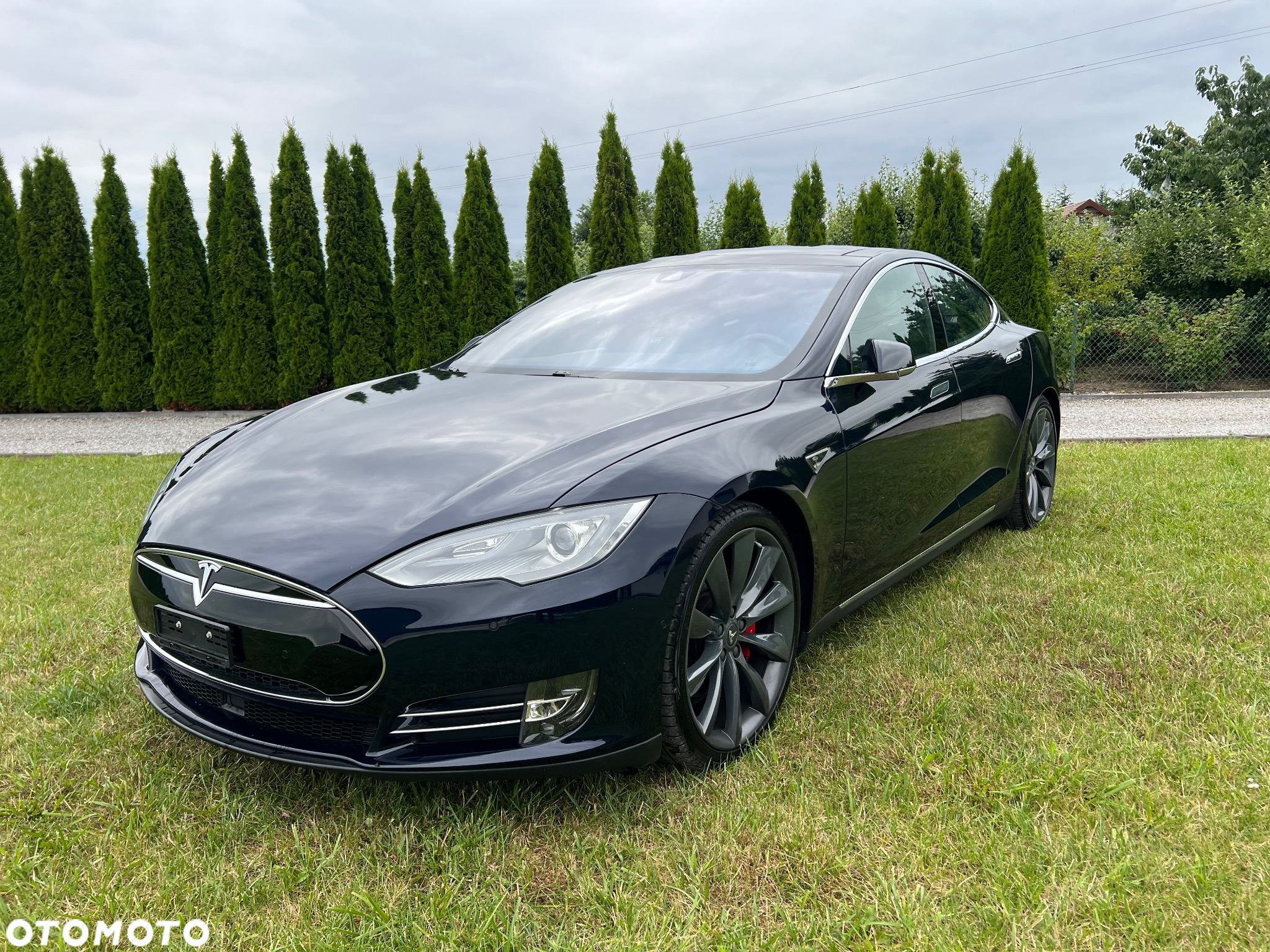 Tesla Model S Performance - 2