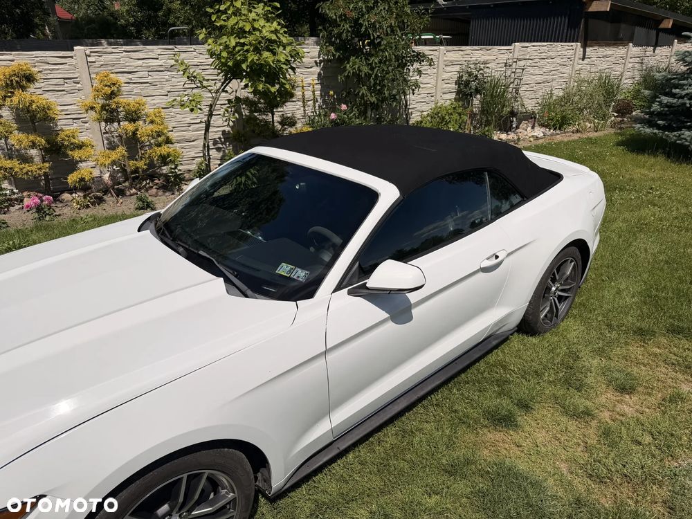 Ford Mustang Cabrio 2.3 Eco Boost - 13