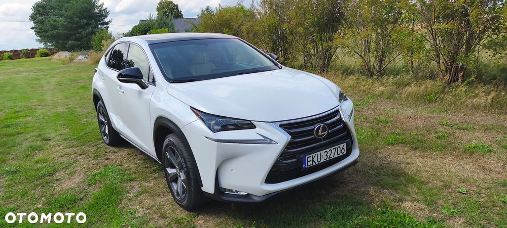 Lexus NX - 1