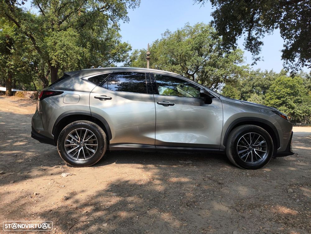 Lexus NX 450h+ Executive - 5