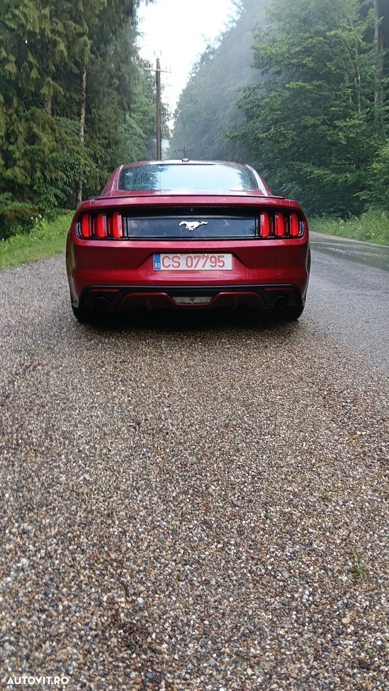 Ford Mustang 2.3 EcoBoost Aut. - 12