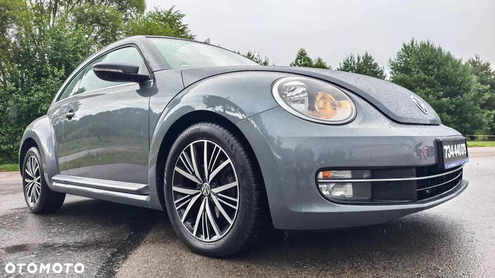 Volkswagen Beetle - 16