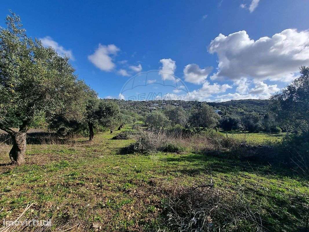 Terreno  para venda - Grande imagem: 5/5