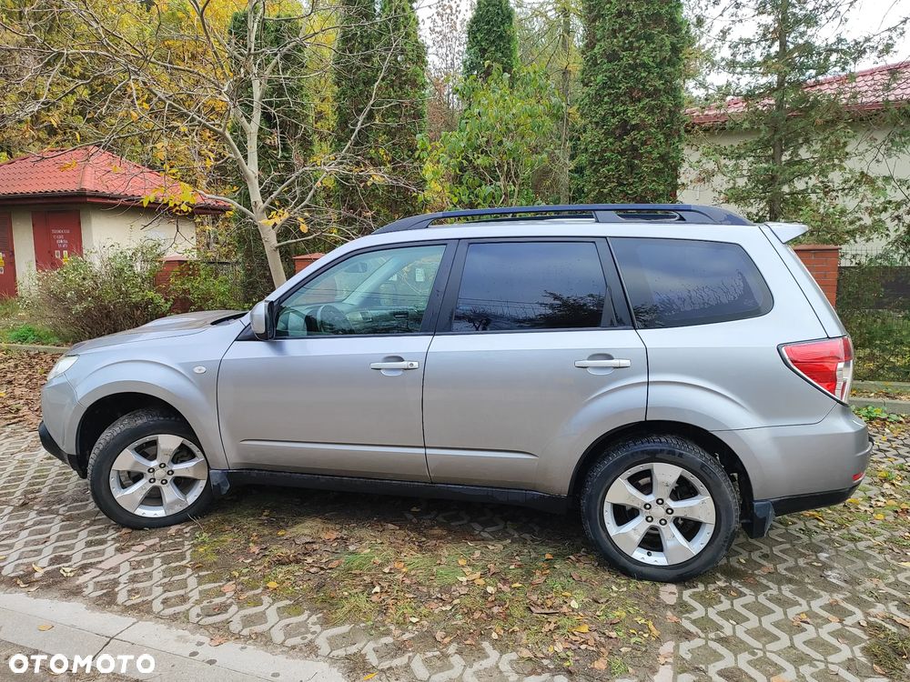 Subaru Forester - 19