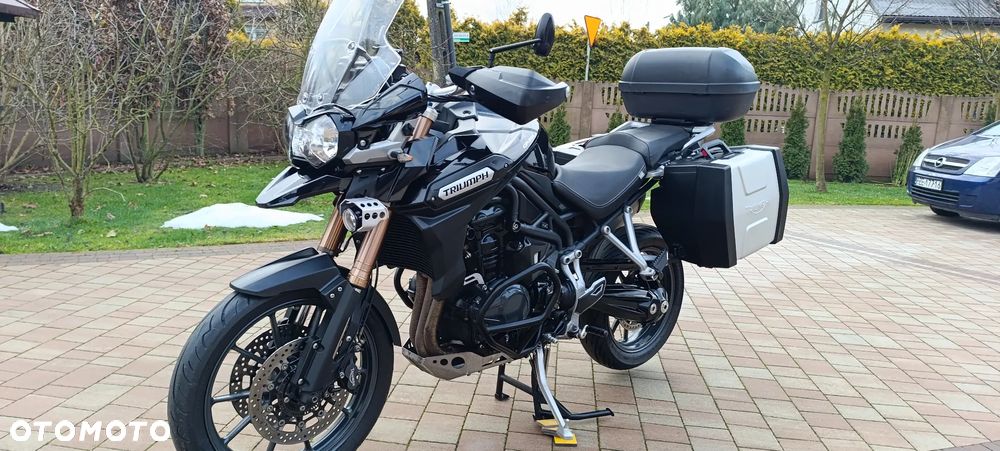 Triumph Tiger - 6