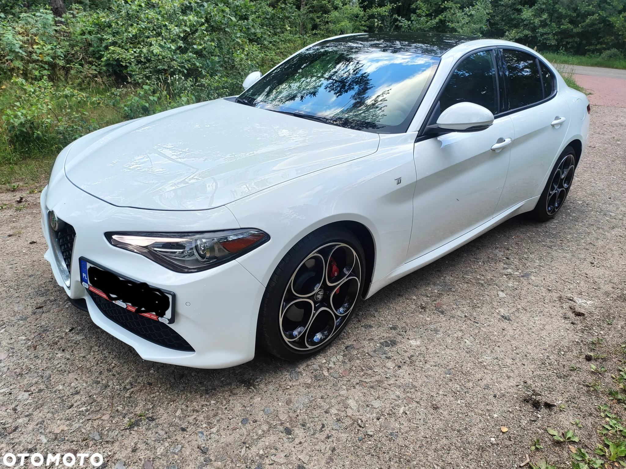 Alfa Romeo Giulia 2.0 Turbo TI Q4 - 26