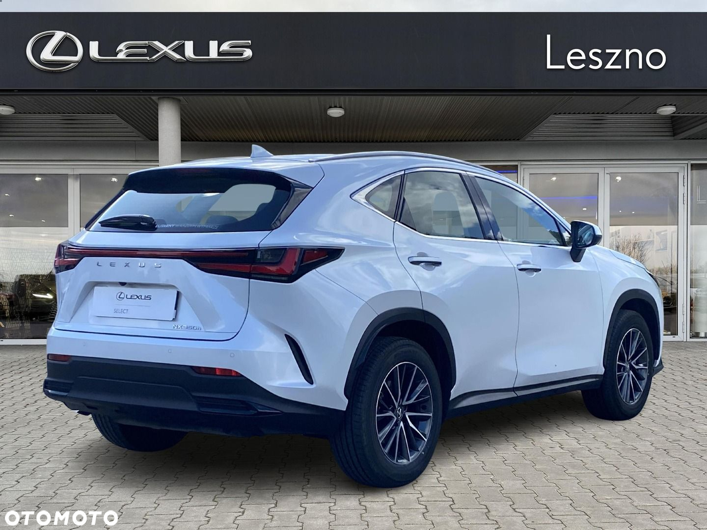Lexus NX - 6