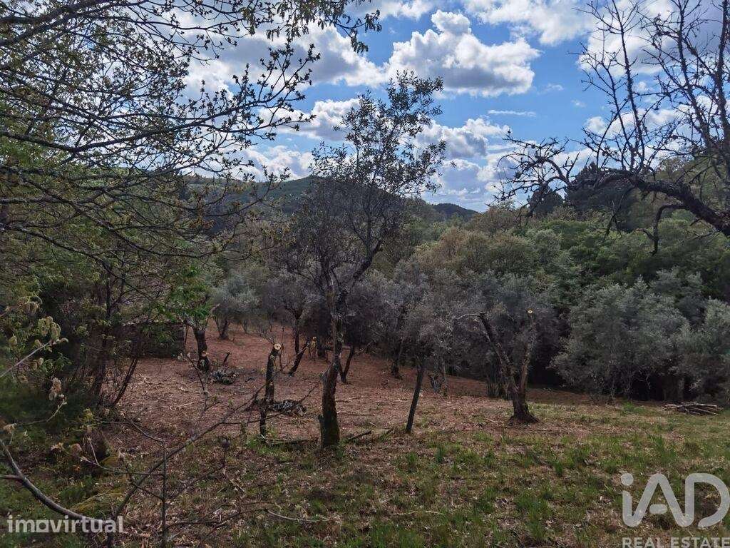 Casa de Campo em Aldeias e Mangualde da Serra de 40,00 m2 - Grande imagem: 5/27
