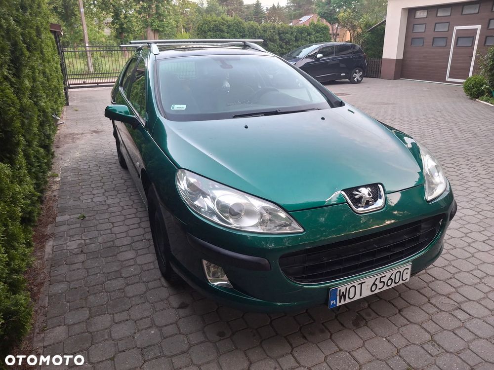 Peugeot 407 115 - 4