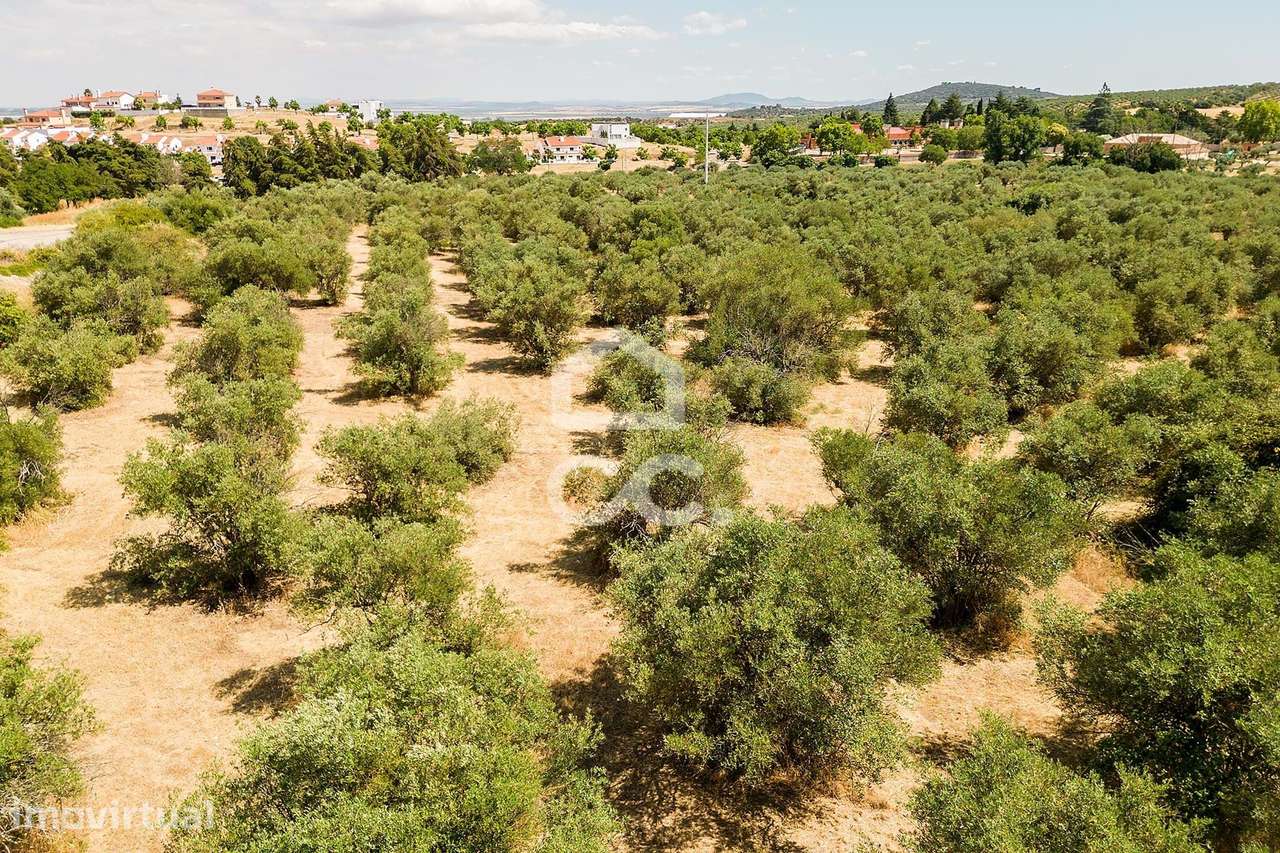 Terreno de 15335m² c/ Viabilidade de construção | Elvas - Grande imagem: 2/19