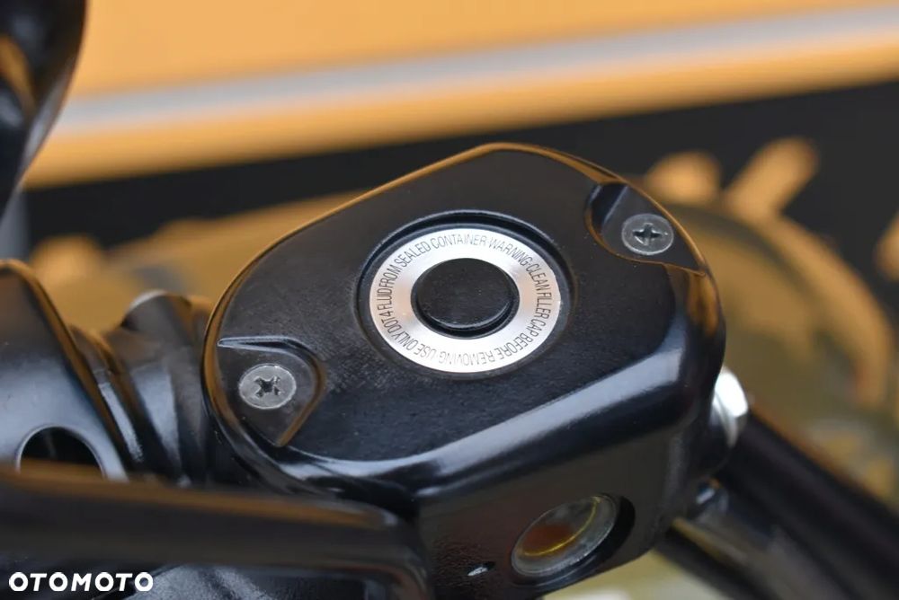 Harley-Davidson Sportster Iron 883 - 31