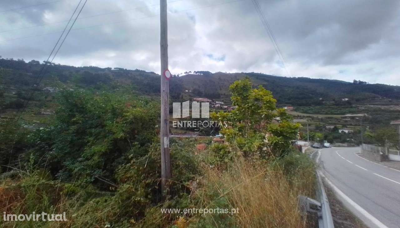 Venda Terreno, Santiago de Piães, Cinfães - Grande imagem: 2/27