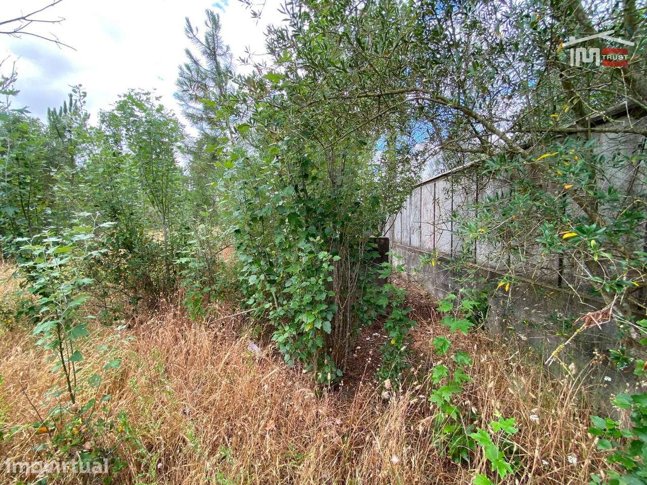 LOTE URBANO PARA CONSTRUÇÃO DE PRÉDIO | CENTRO DO PINHAL NOVO - Grande imagem: 3/8