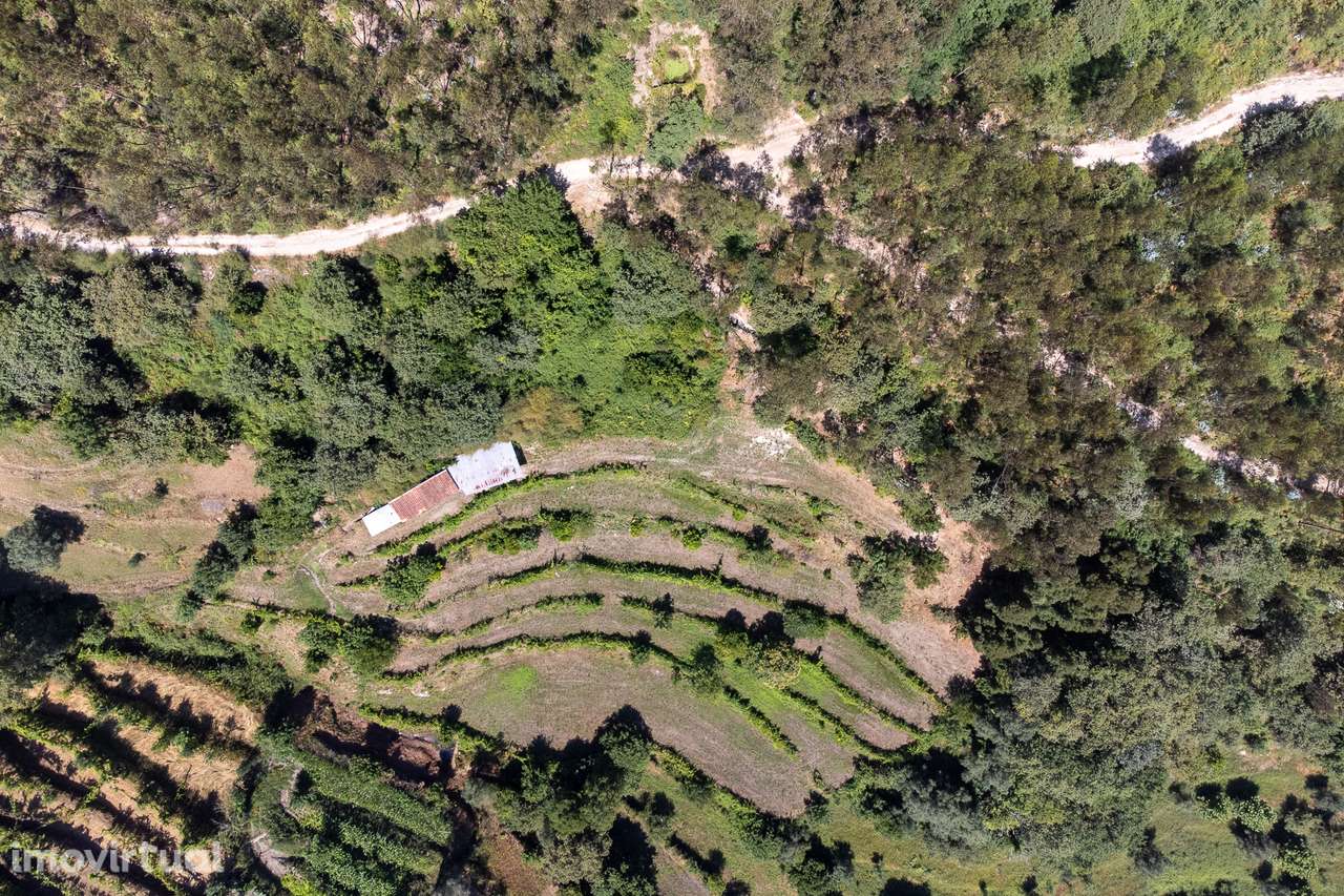 Terreno Agrícola à Venda em Seramil, Amares - Grande imagem: 3/28