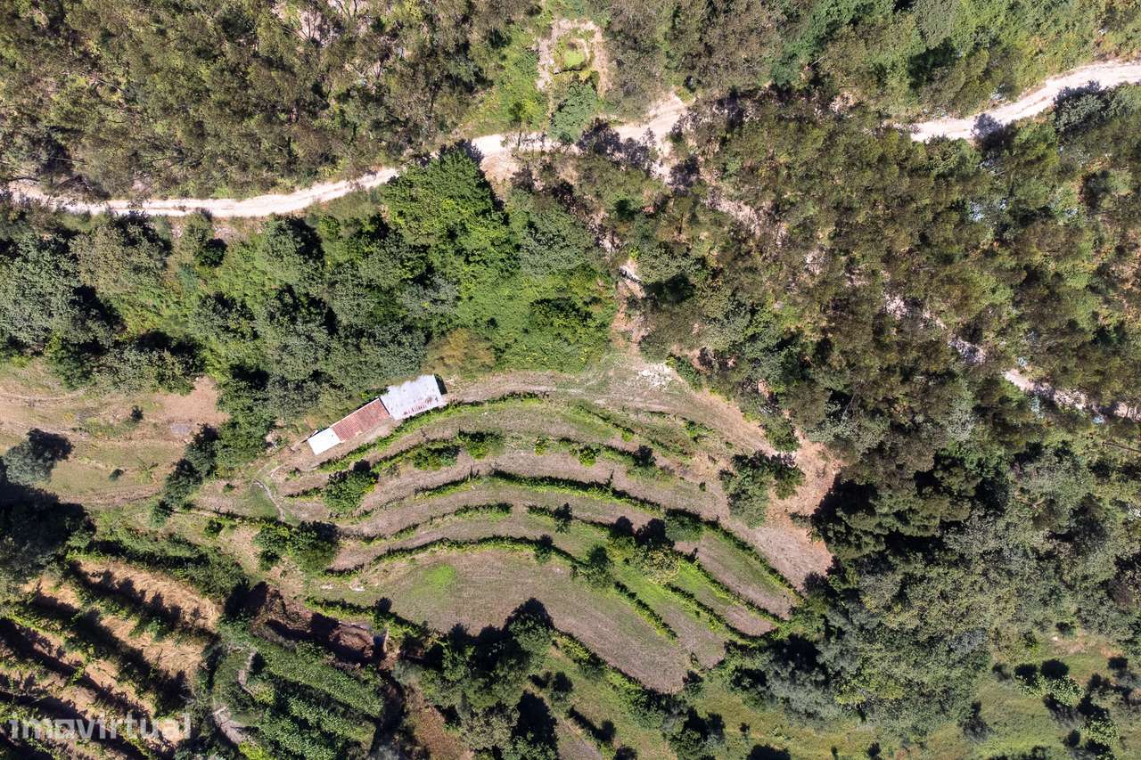 Terreno Agrícola à Venda em Seramil, Amares - Grande imagem: 3/28