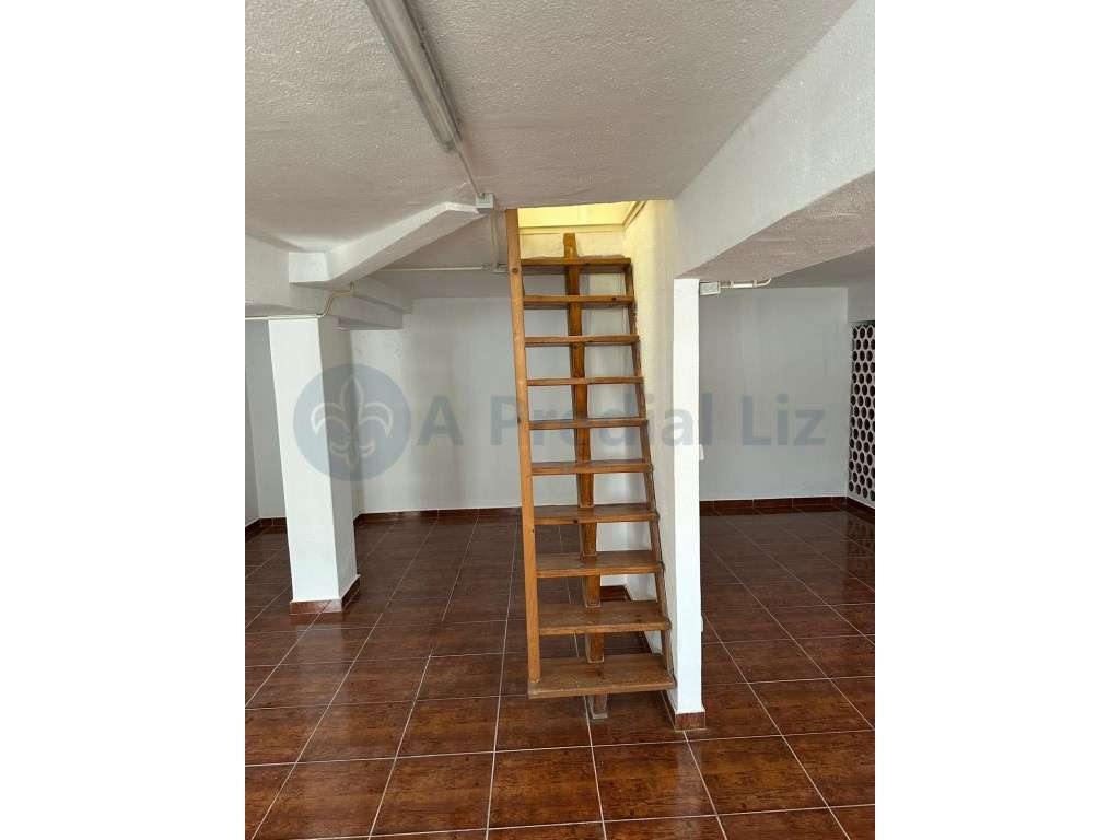 T2 + 2 em Belém - Grande imagem: 2/6