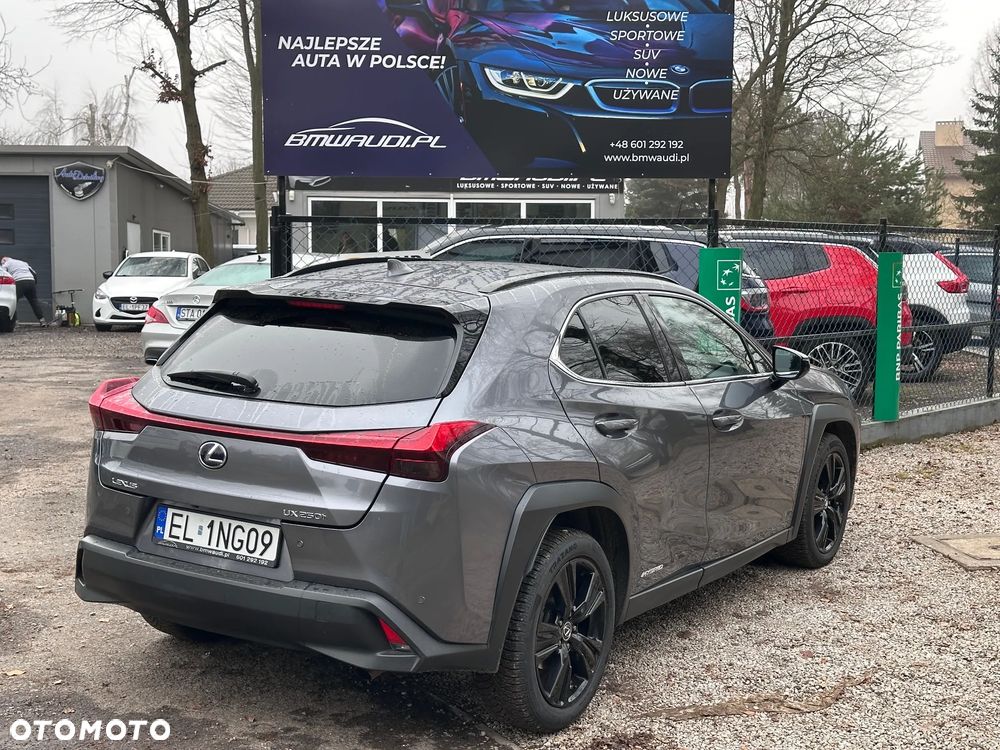 Lexus UX 250h Business Edition - 10