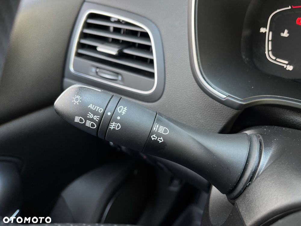Renault Megane - 22