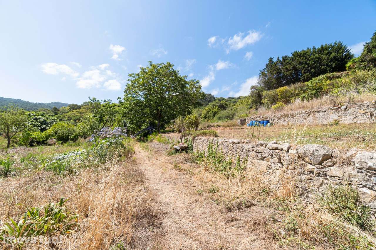 Quinta da Fonte Velha | Um segredo bem guardado, em pleno Parque Natur - Grande imagem: 5/39