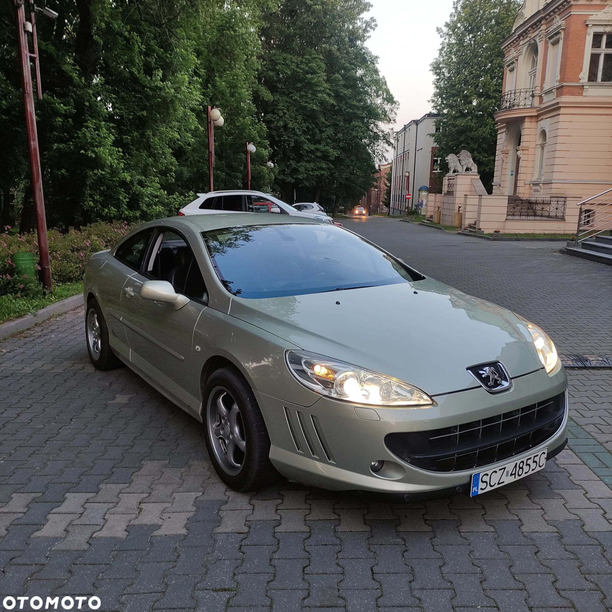 Peugeot 407 - 1