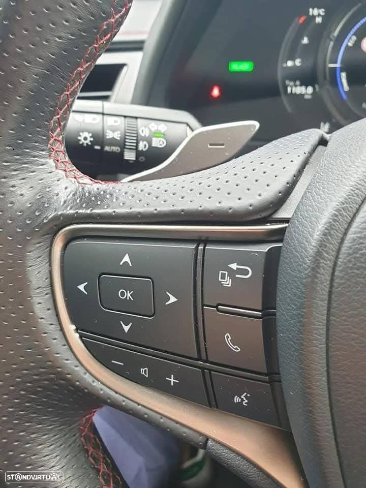 Lexus UX 250h F Sport - 14