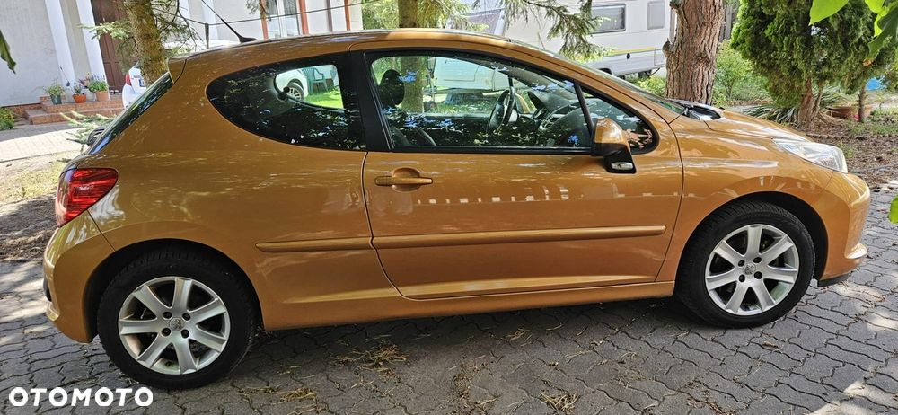 Peugeot 207 - 12