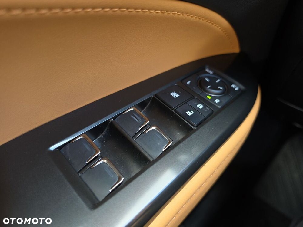 Lexus NX - 19