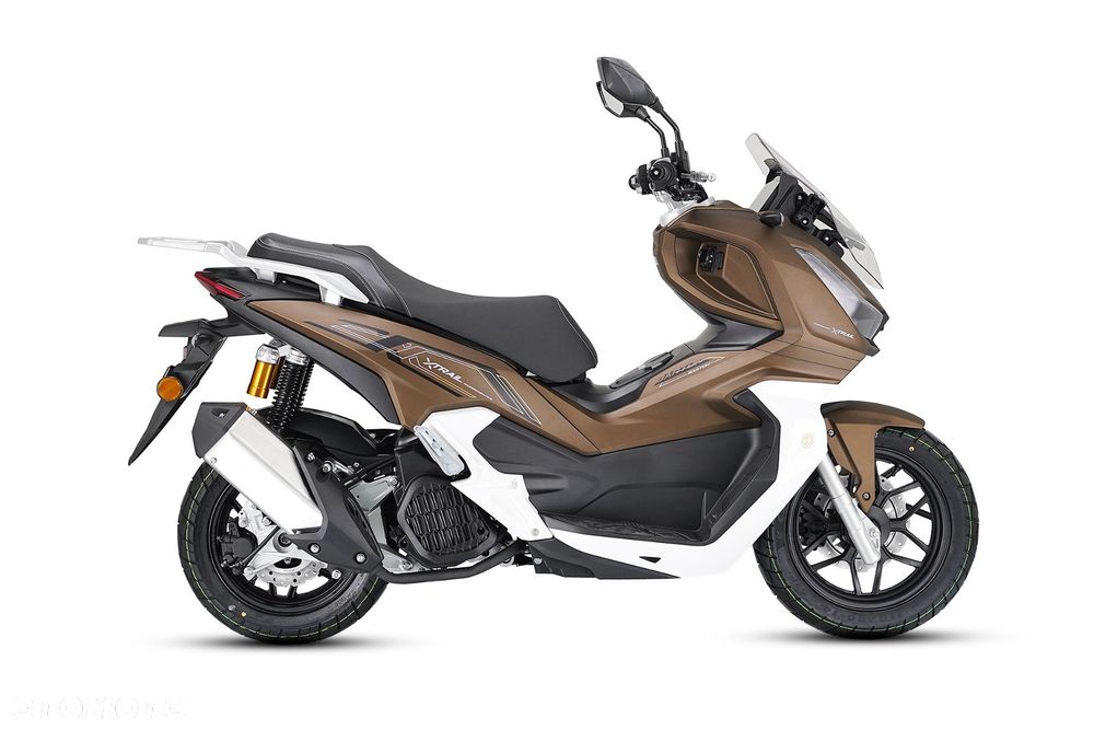 Barton X-Trail - 8